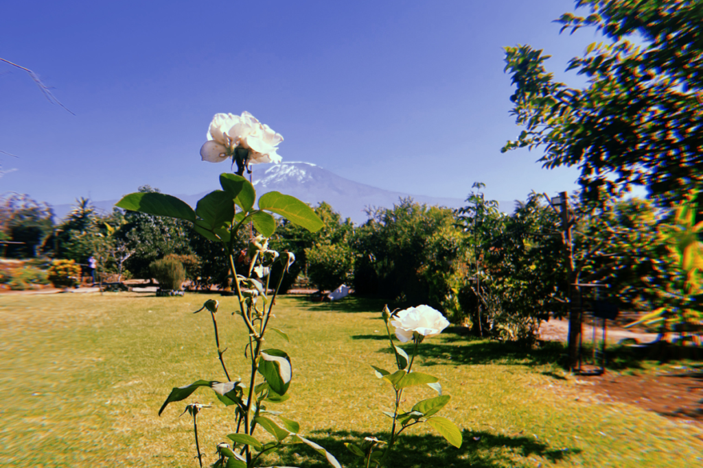 KiboView_Website_Headers_About-1024x683